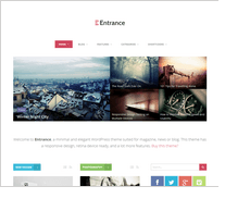 Entrance - WordPress Theme for Magazine and Review - 9